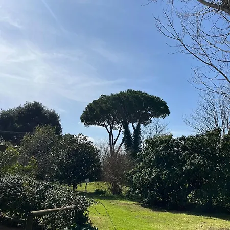 Appartement Sulla Strada Del Mare à Grosseto Extérieur photo