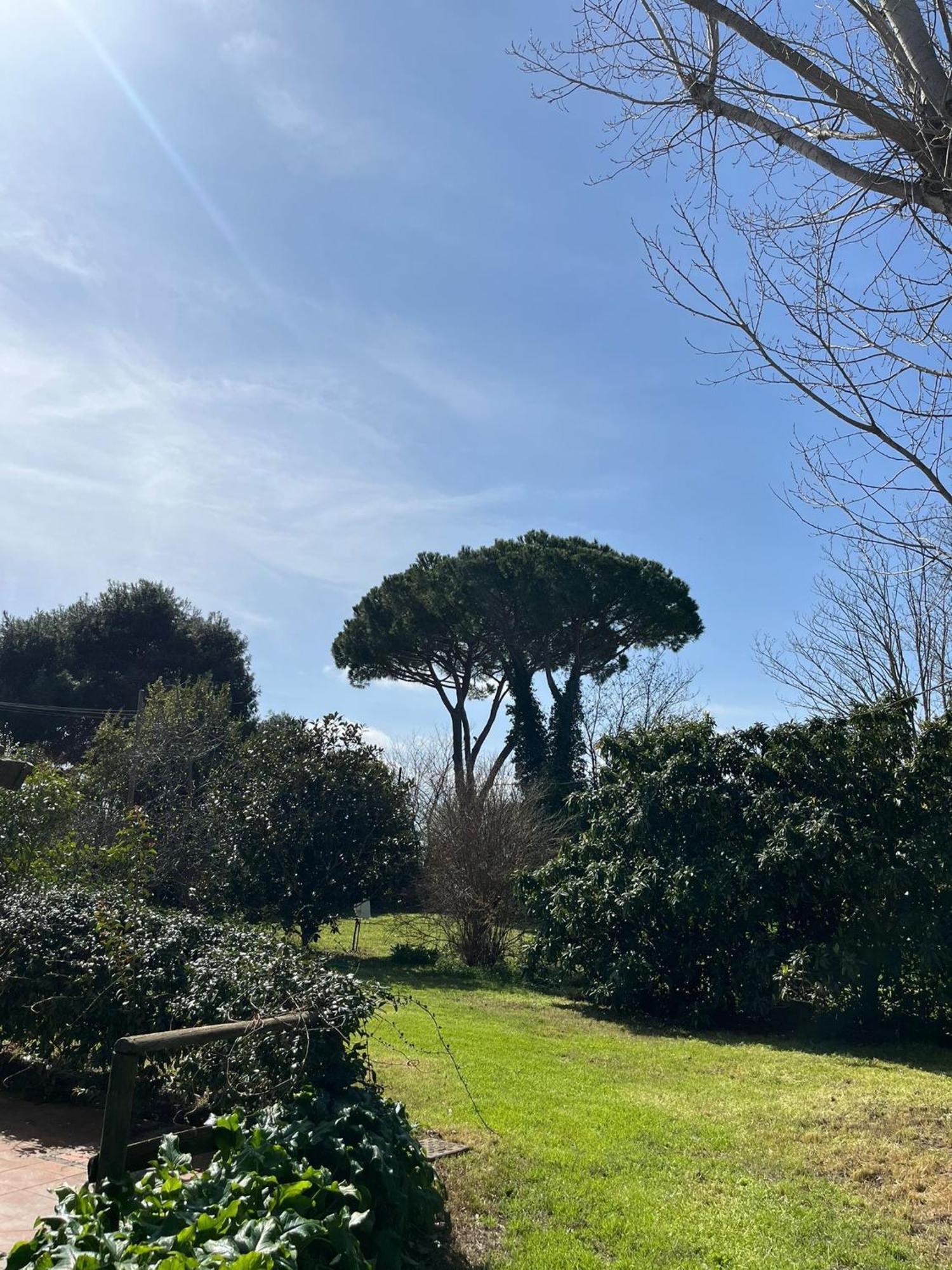 Sulla Strada Del Mare Appartement